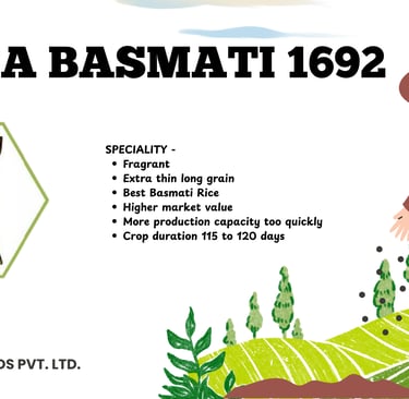 Kavya Seeds Pusa Basmati 1692 advertisement showing premium paddy seeds and list of variety features.
