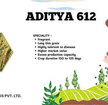 Aditya 612 long thin grain rice seed variety features by Kavya Seeds Pvt. Ltd. with high disease tolerance.