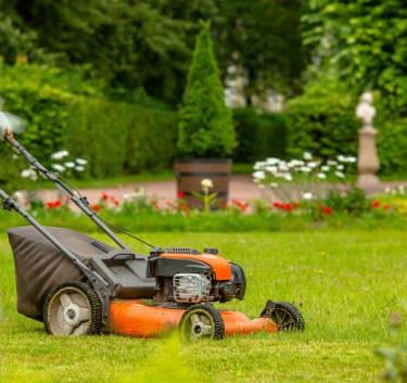 Professional Yard Maintenance