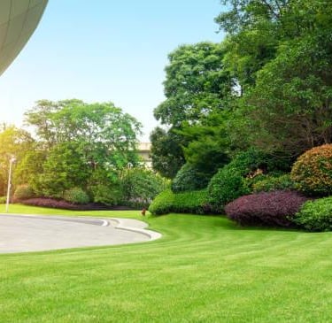 Landscaping Company
