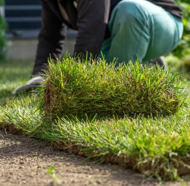 Landscape Installation