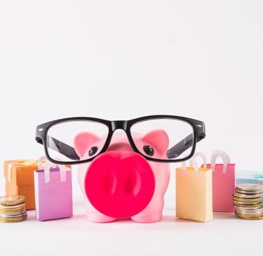 piggy-bank-glasses-with-paper-bags-optician
