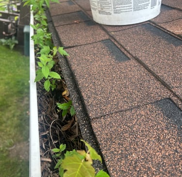 a photo of dirty gutters