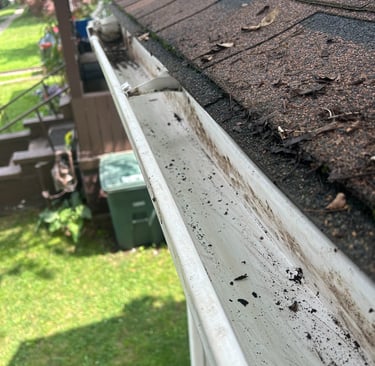 a photo of clean gutters after i cleaned them
