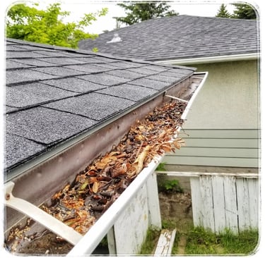 a photo of a dirty gutter with leaves in it