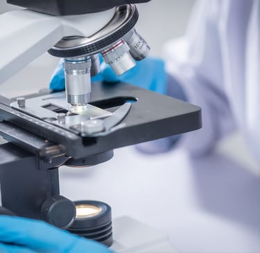 Cientista com luvas azuis ajustando uma lâmina de vidro sob um microscópio de laboratório 