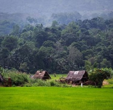 gem mine in sri lanka