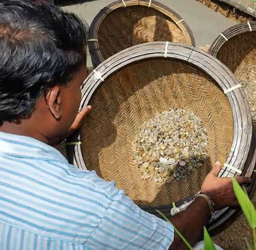 a gem miner is sorting out the gemstones using a wooden sieve.