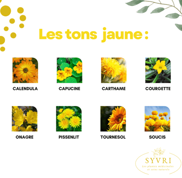 Fleurs comestibles jaune