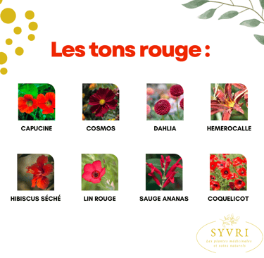 Fleurs comestibles rouge