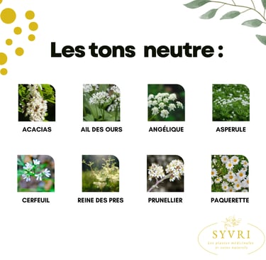 Fleurs comestibles blanches