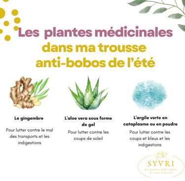 Les plantes médicinales dans ma trousse anti-bobos de l'été