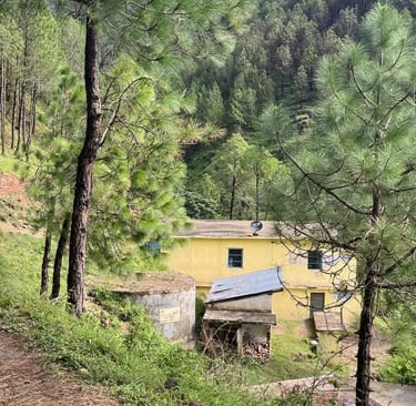 GSSS Chandyara in Himachal Pradesh surrounded by trees.