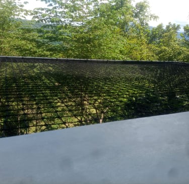 Catamaran fotografia en otro plano