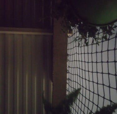 Malla en una ventana para evitar caidas