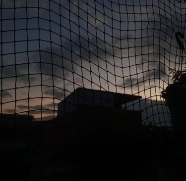 Malla en una ventana con plantas colgadas