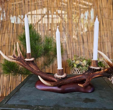 Deer antler candle holder