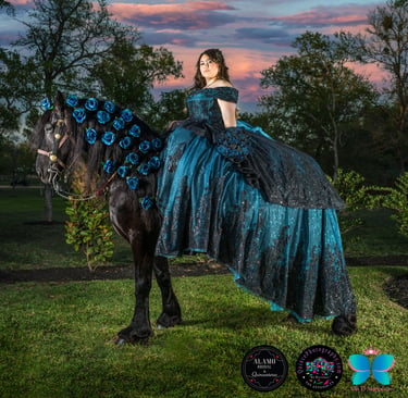 A young Girl dressed in a Beautiful Ball Gown, glittering on a Massive fresian horse.