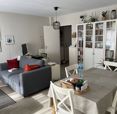 Projet Opaline avant 