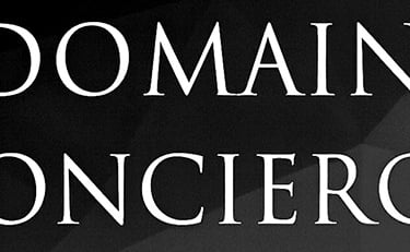 Domain Concierge black and white banner image