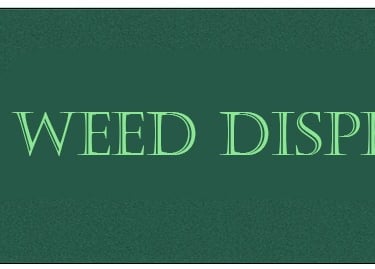Weed dispensary logo in green