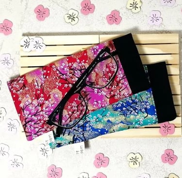 2 étuis à lunettes