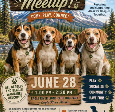 6.28 Beagle Meetup