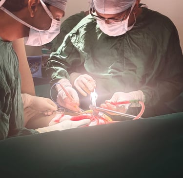 Spine Trauma Shalom Clinic