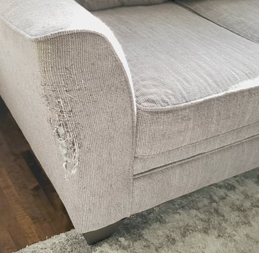 A close-up of a modern light gray textured fabric sofa with tapered wooden legs on a shag rug.