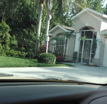 beautifully landscaped yard with st augustine grass and several hedges,palms and plants