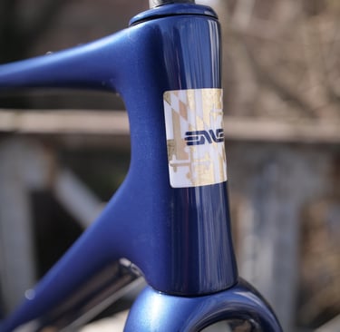 a custom painted ENVE Mog with the Maryland flag