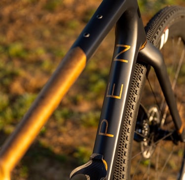a custom painted OPEN CYCLE Wide with black and gold