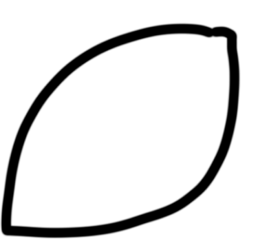 oblong shape