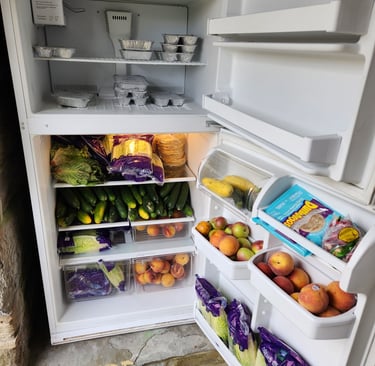 Fridge and freezer opened showing contents of fresh food and prepackaged meal.
