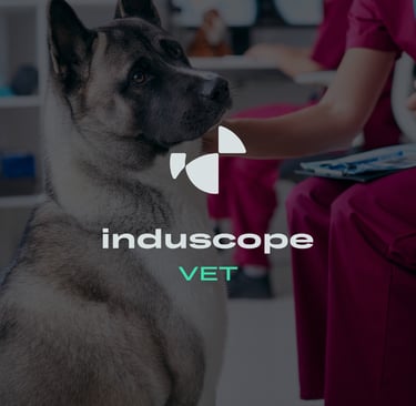 Logo secondaire Induscope VET, identité visuelle