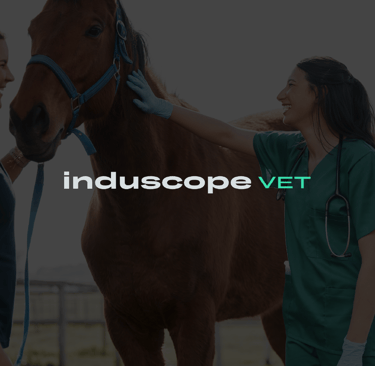 Logo typographique Induscope VET, identité visuelle