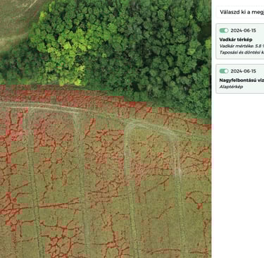 Vadkár, Természeti kár felmérés