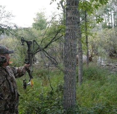 Hunter about to take a giant bull elk