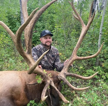 Huge bull elk taken in Saskatchewan
