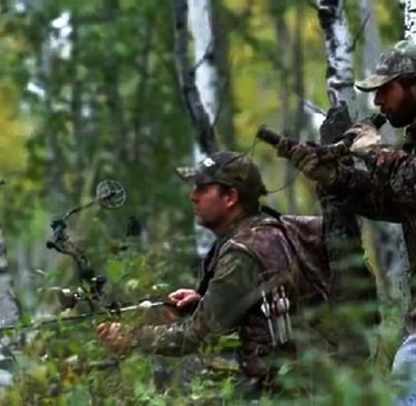 A guide bugles in a bull elk for his archery hunter