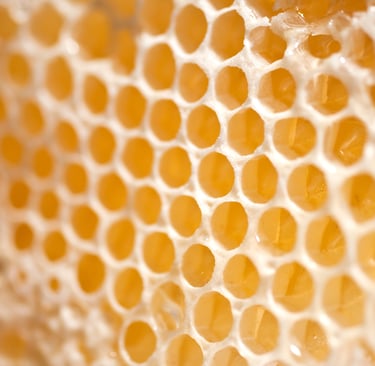 Cire d'abeille