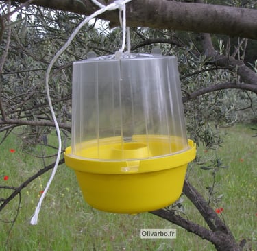piege alimentaire pour mouche de l'olive