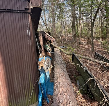 Tree fell after a ice storm on a shop.