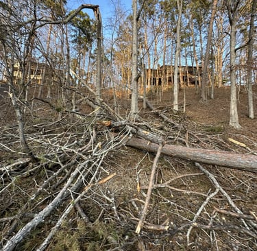 Storm damage in the Winn Springs Cv on Pickwick Lake