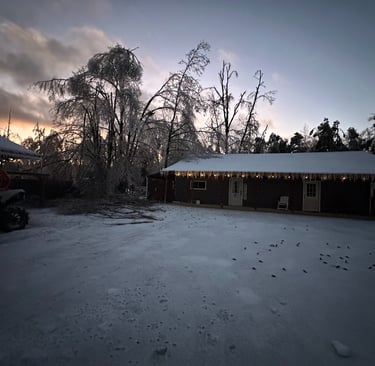 Ice-covered trees and a snow-covered property at sunrise after a winter storm