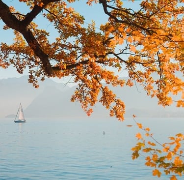 My mind is too busy to meditate. It is not calm like the ocean.