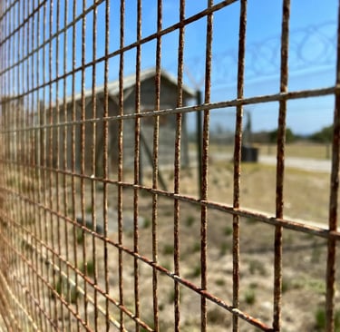 Close-up of a rusty metal wire fence with a blurred military barracks and barbed wire under a blue sky.