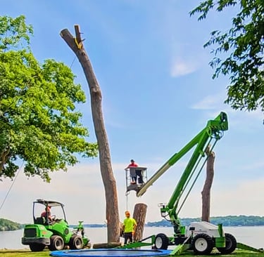 Professional arborists using a bucket lift and loader for tree removal on Lake Minnetonka.