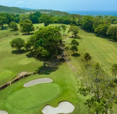 Aerial view of a tropical golf course fairway with palm trees and bunkers overlooking the ocean.