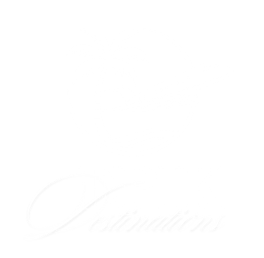 EPIK Destinations travel agency logo featuring a private jet and palm tree for luxury tropical vacations.